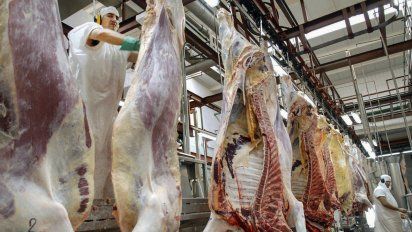El Gobierno fijó el cupo de carne que puede exportar cada frigorífico