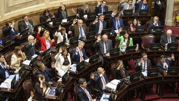 El proyecto fue convertido en ley por amplia mayoría.
