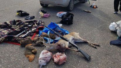 Cazadores cordobeses, intimados a pagar la multa por matar un venado de las pampas