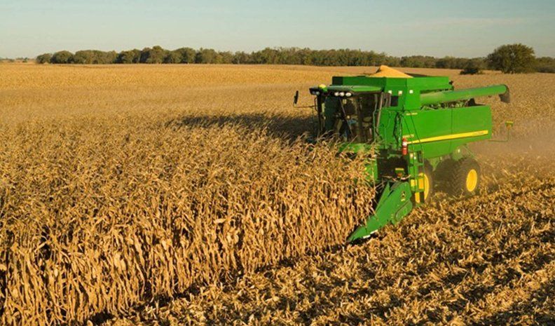 La producción de maiz se estima en 48 millones de toneladas en todo el país