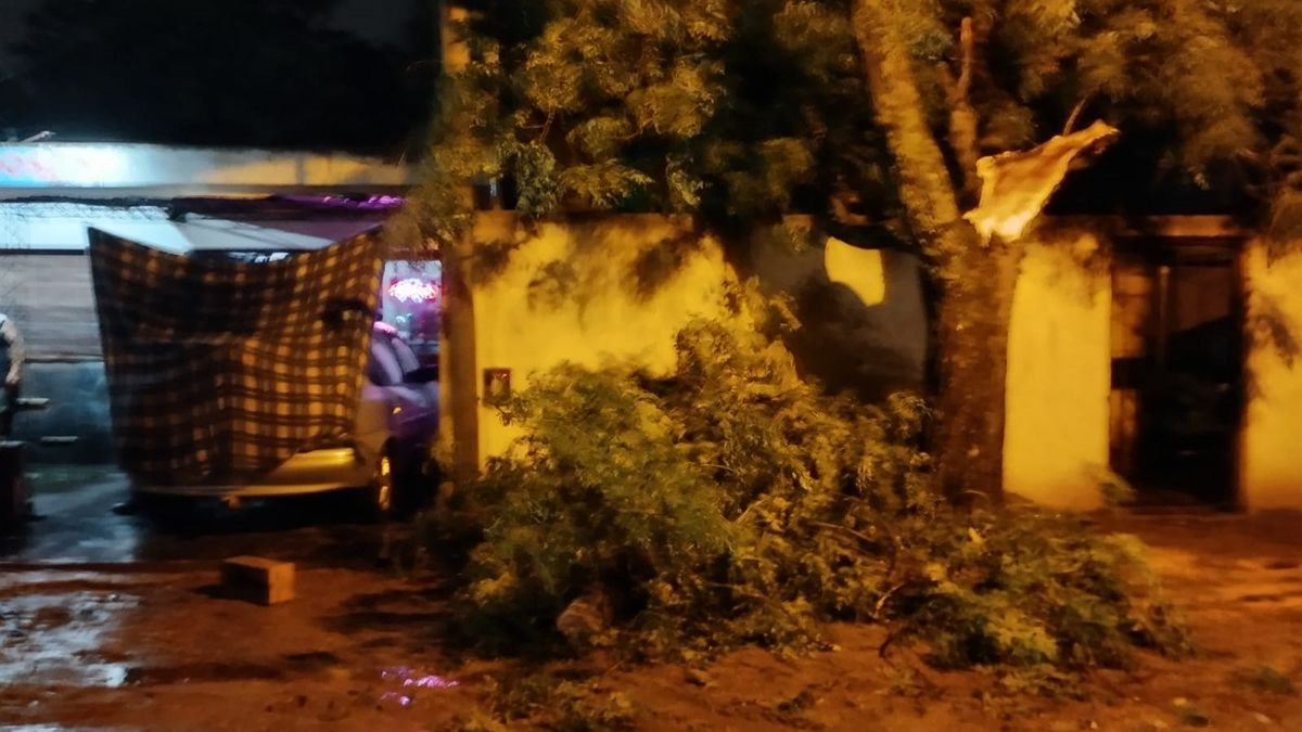 Fotos: gentileza Bomberos Voluntarios.