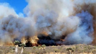 Advierten por riesgo extremo de incendios en el fin de semana