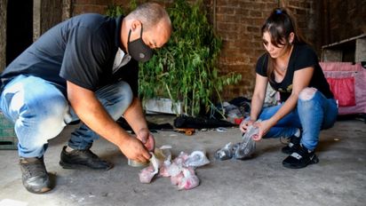 Cocaína adulterada: se aguardan pericias para determinar la sustancia que provocó las 24 muertes