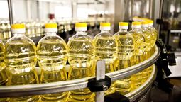 La industrialización de girasol tuvo una fuerte caída del 15,51 por ciento en el segundo trimestre del año.