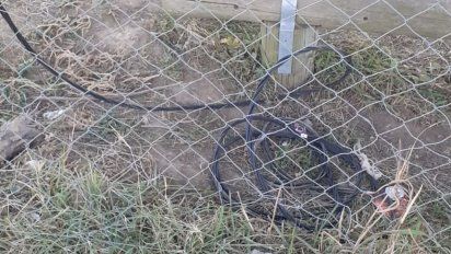 Intentaron robar cables de alumbrado en el baby San Martín