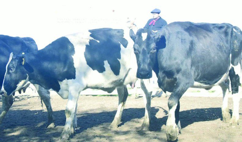 Productores del sector lechero no se quedarán esperando la recomposición de precios, sino que exigirán resultados concretos.