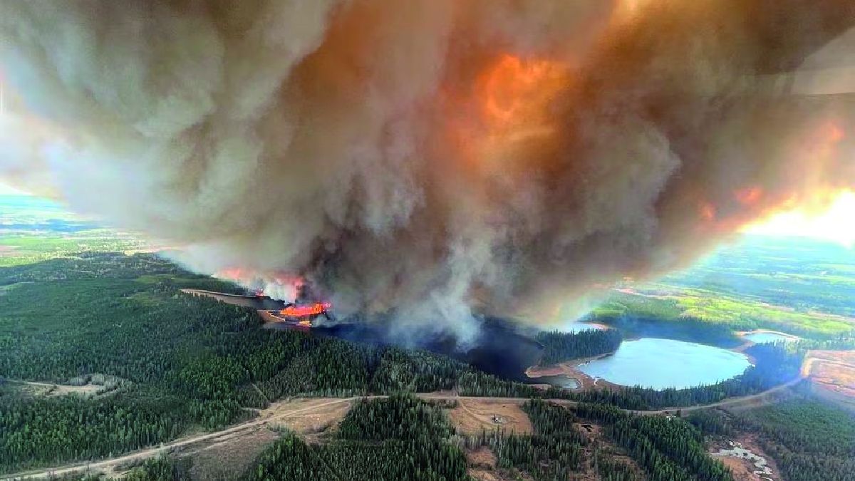 Canadá: La repentina aparición de temperaturas anormalmente altas