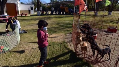 En lo que va del año, fueron dadas en adopción más de 450 mascotas