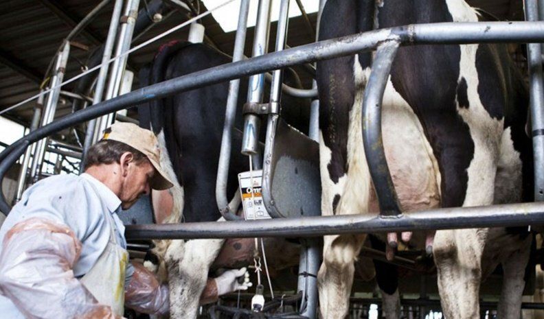 A nivel de consumo los lácteos solían ser un básico indiscutido en el hogar de todos los argentinos. Pero en los últimos años han dejado de serlo. 