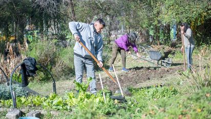 Con huertas, promueven la comida sana y refuerzan la economía familiar