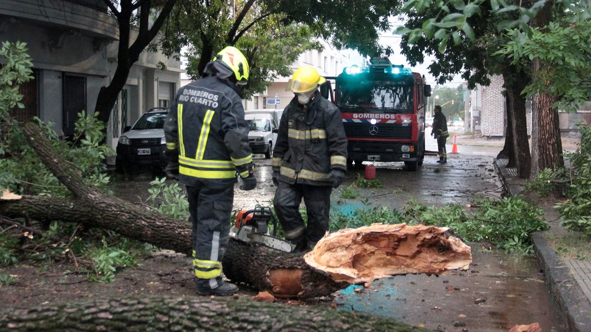 En Río Cuarto hubo varios árboles caídos por la tormenta.