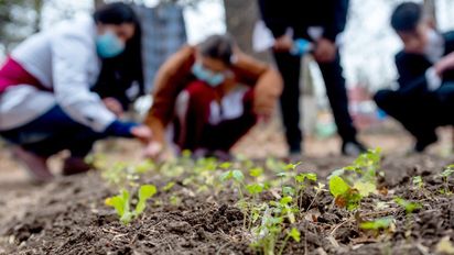 En agosto, 14 nuevas primarias de Córdoba serán escuelas verdes