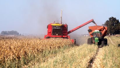 Córdoba ratificó su liderazgo en producción de maíz en el país