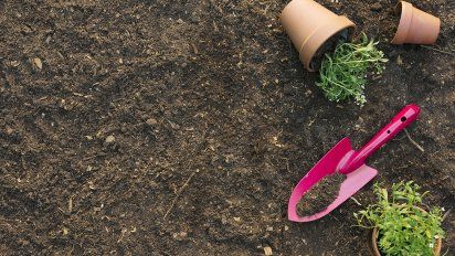 ¿Cómo preparar el terreno para nuestro jardín?