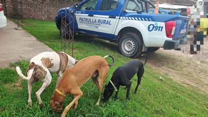 Patrulla Rural: localizan a cuatro hombres realizando caza con jauría