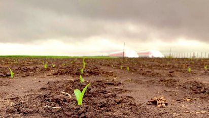 La campaña 2021/22 sería la más sustentable de la última década