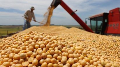 Por los 3 dólar soja, agroexportadores embolsaron $ 590.000 millones extras