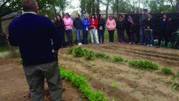 Fomentan huertas para mejorar la  alimentación y reducir los residuos