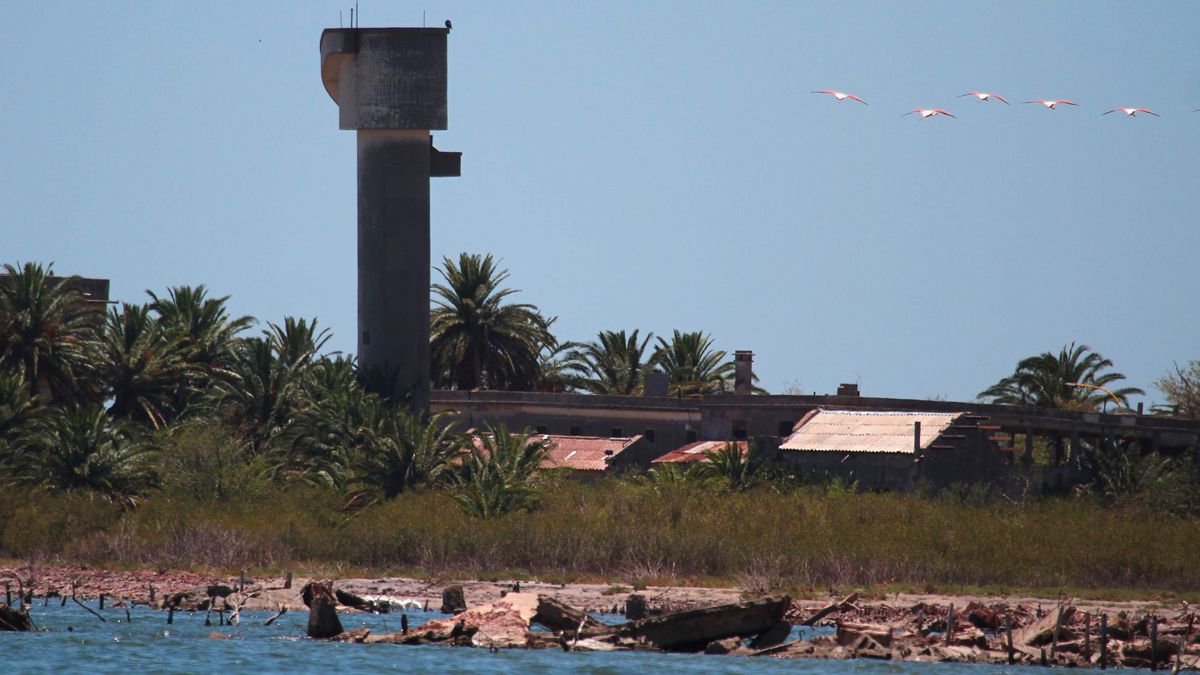 En el ecosistema conviven una gran diversidad de ambientes.