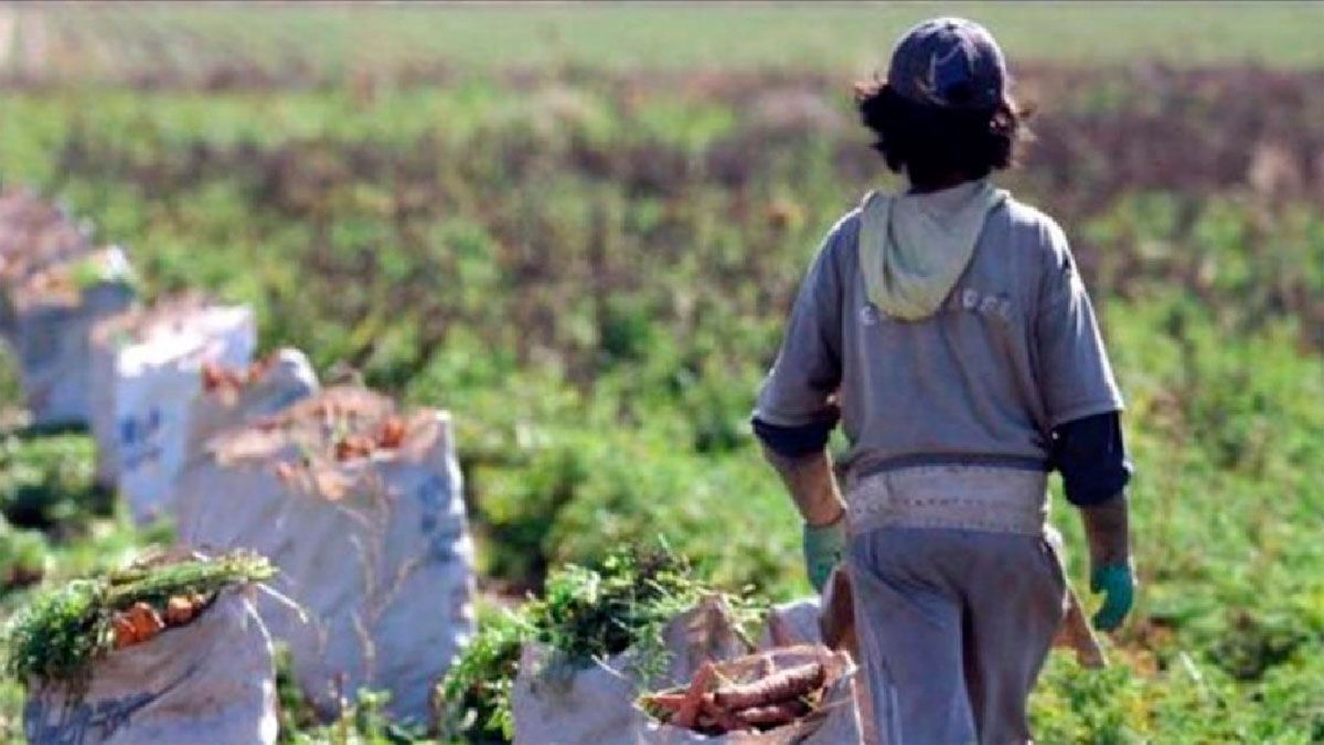 Preocupación por la suba  del trabajo infantil junto con la pobreza en la pandemia