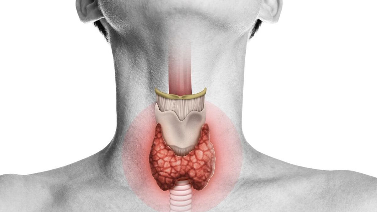 Los trastornos en tiroides suelen ser muy comunes y en la mayoría de los casos pasan inadvertidos.