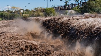 Fotos: Andrés Oviedo. Fotos: Andrés Oviedo.