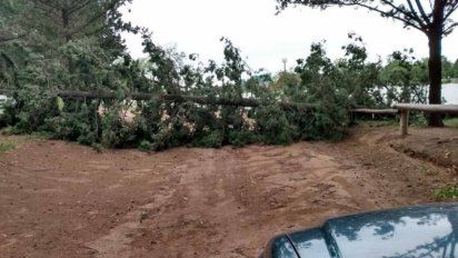 Varias localidades afectadas por el fuerte viento