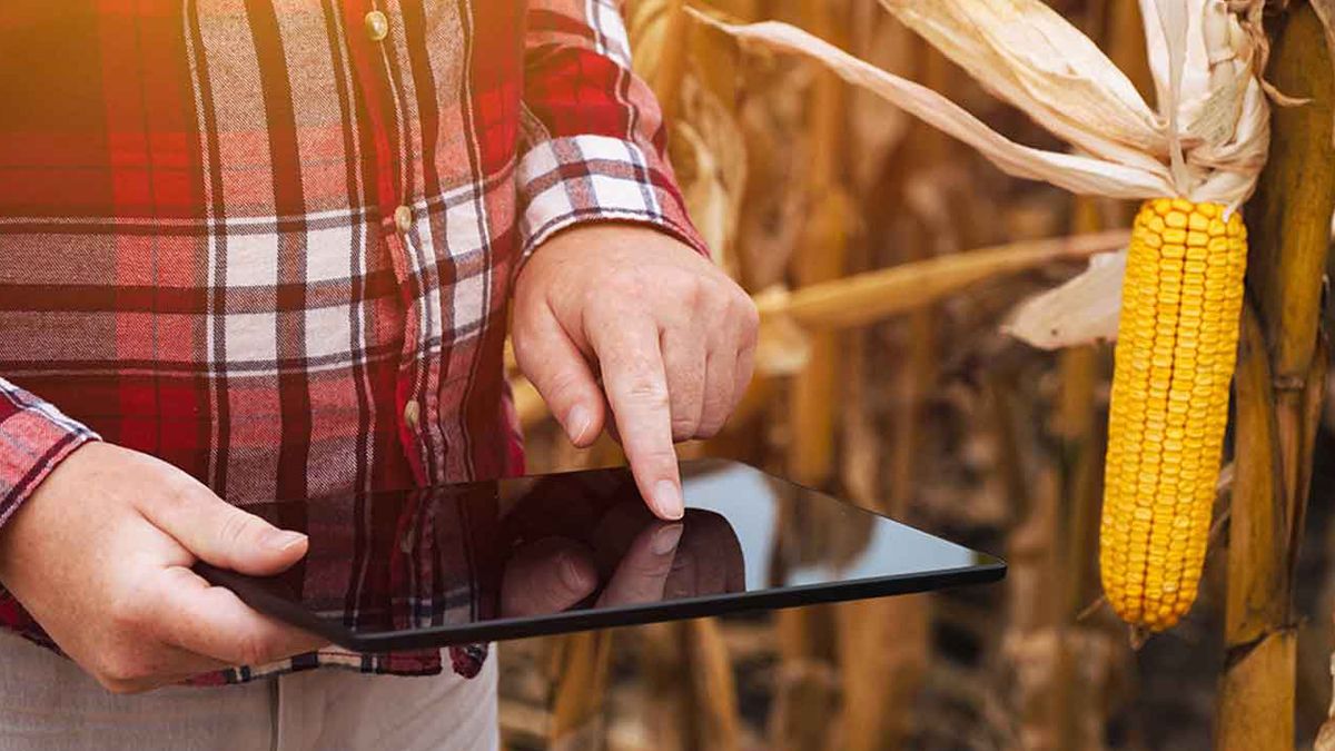 El INTA realizó una encuesta denominada “Utilización de Apps y/o plataformas digitales para una gestión eficiente de datos en el agro”.