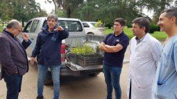 Por cada nacimiento plantarán un  árbol en el Hospital de Bell Ville