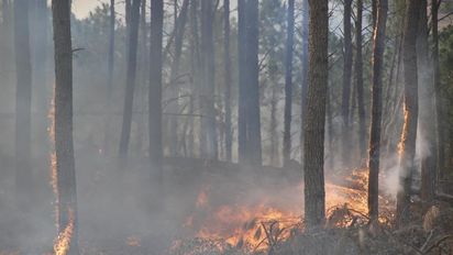 Bomberos combatían cinco focos de incendios en la provincia