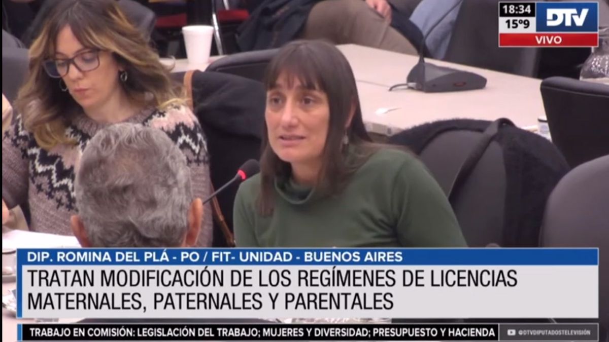 Obtuvo dictamen la modificación de licencias maternales, paternales y parentales