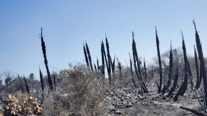 Traslasierra: no hay focos activos, pero se siguen en alerta