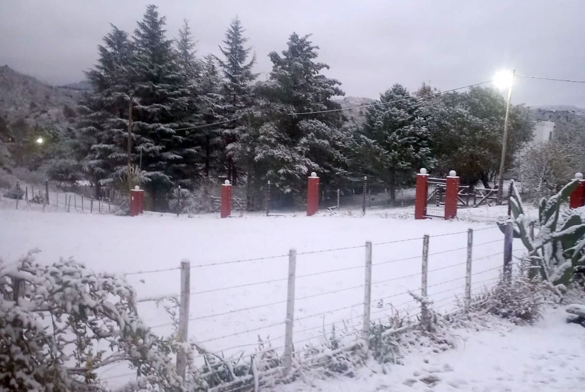 Postales de la nieve en los campos de la región