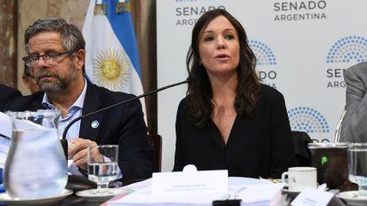 Presupuesto: Stanley destacó que el 77% del gasto primario es para servicios sociales