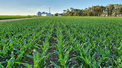 Agrohub: innovando en el agro con tecnología y buenas prácticas desde Marcos Juárez 