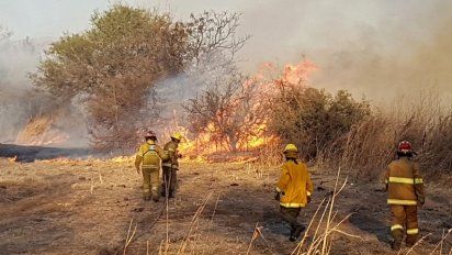 El incendio en el Parque Nacional Los Alerces sigue activo y ya consumió más de 8 mil hectáreas