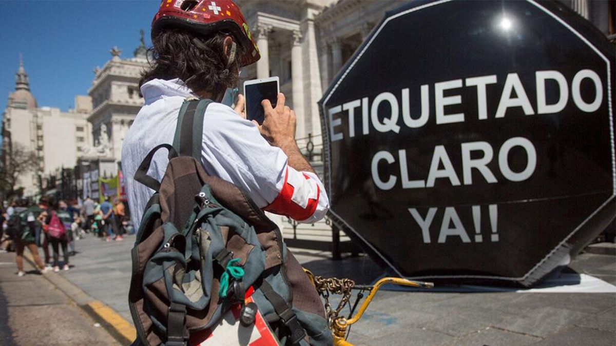 El debate por la ley se extendió varias semanas. Se denunció el lobby de empresas para que no se realizara su tratamiento en Cámara.