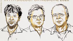 el nobel de medicina 2026 fue para los creadores de la optogenetica, la tecnologia para controlar las neuronas con luz