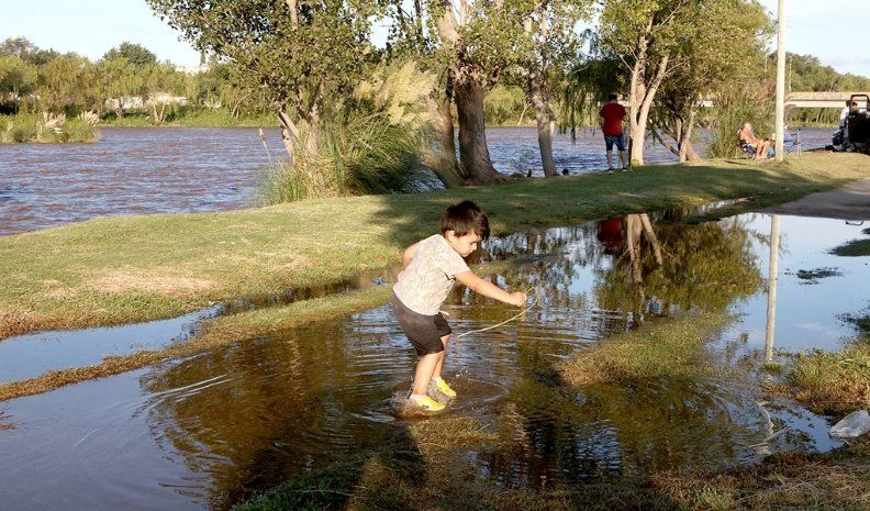 La vegetación ribereña, indican los especialistas, protege a la ciudad de la erosión hídrica y eólica, al igual que de inundaciones y las altas temperaturas.