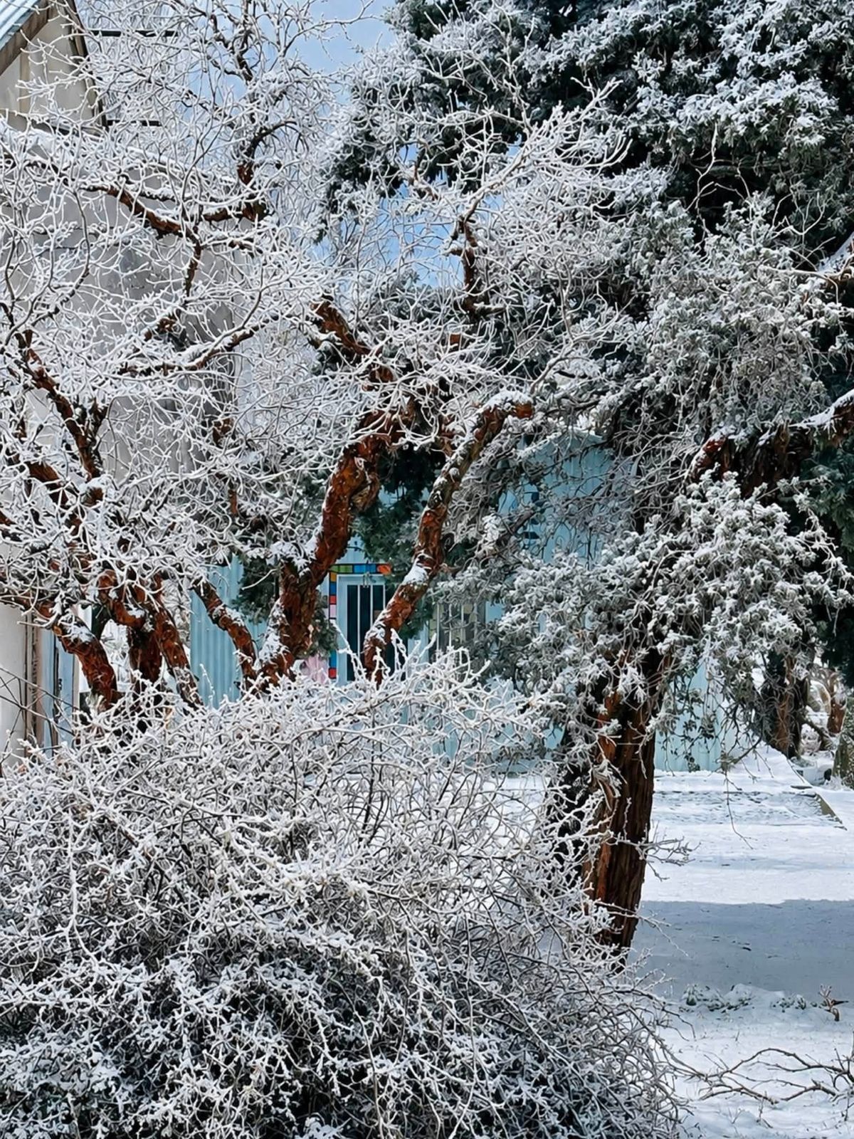 La nieve volvió a regalar una postal inolvidable en uno de los paisajes más emblemáticos de Tanti. Foto: Meteorafa La nieve volvió a regalar una postal inolvidable en uno de los paisajes más emblemáticos de Tanti. Foto: Meteorafa