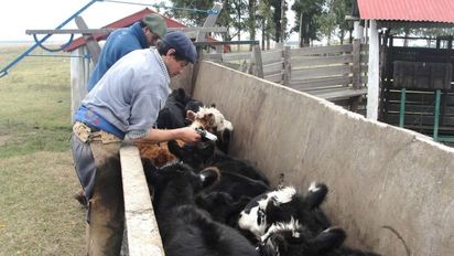 Río Cuarto, sede del 14° Congreso Nacional de Sanidad Animal