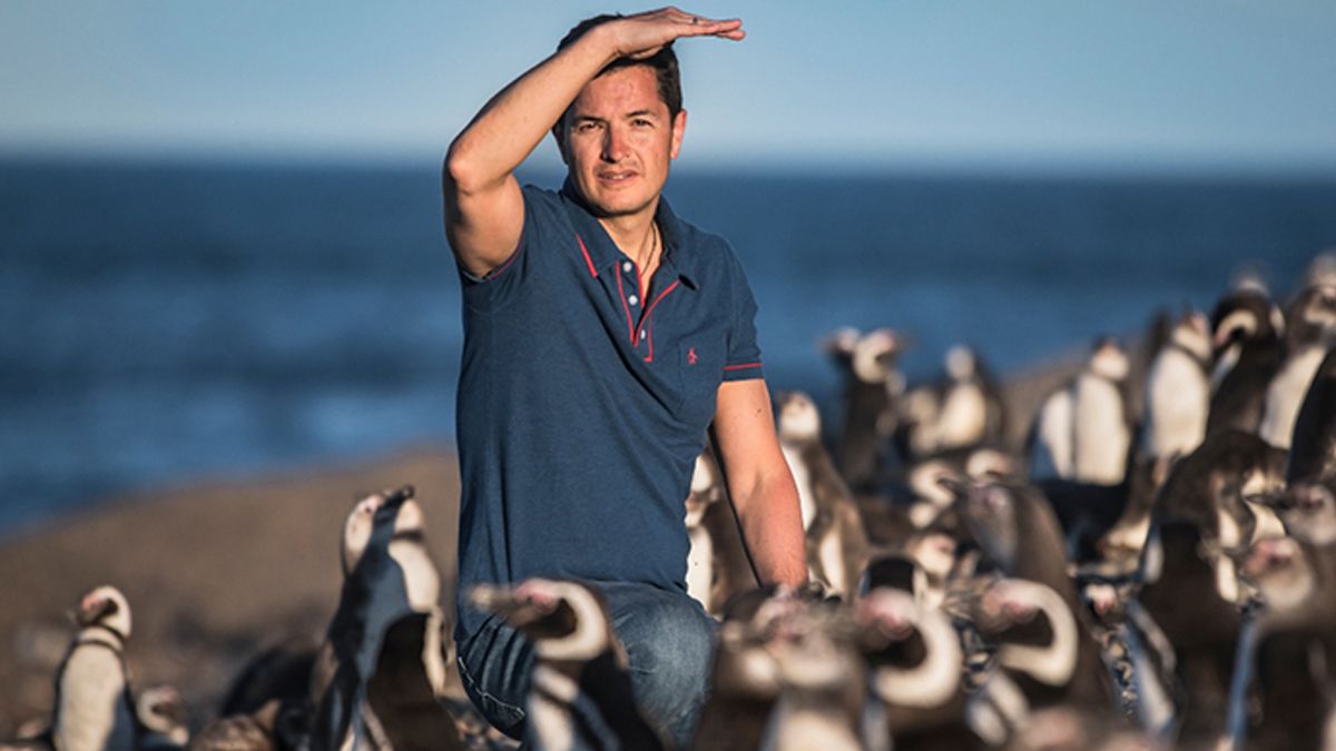 Desde Puerto Madryn, el científico encabeza acciones en defensa del ambiente global.