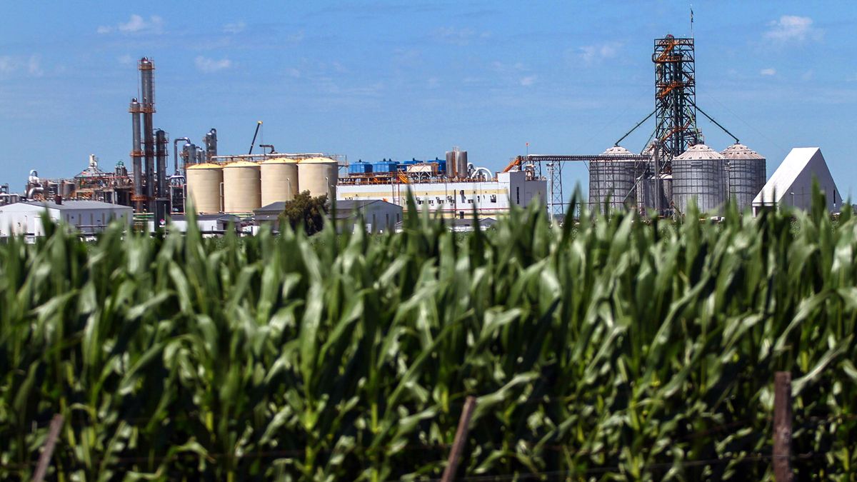 Los campos de maíz y las plantas de etanol son una postal en Córdoba que comenzó a asomar en 2012