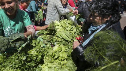 La nieve afectó a las verduras de hoja pero por ahora no subió el precio
