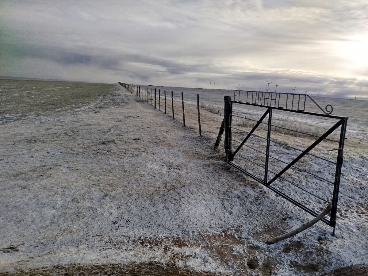 Postales de la nieve en los campos de la región