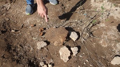 Tras la crecida histórica, afloran restos de gliptodonte en el cauce del río Cuarto