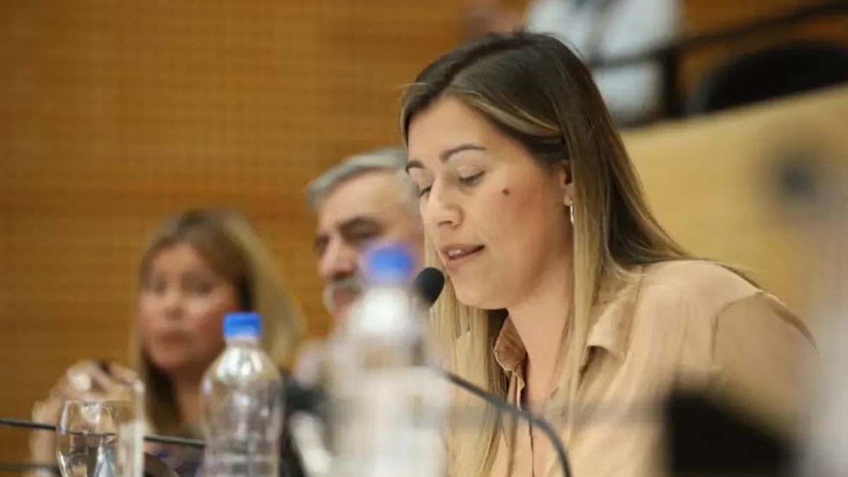 La legisladora Tania Kyshakevych criticó al gobernador.