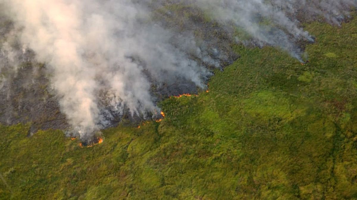 El INTA confirmó que en total se quemaron 1.042.514 hectáreas en Corrientes.