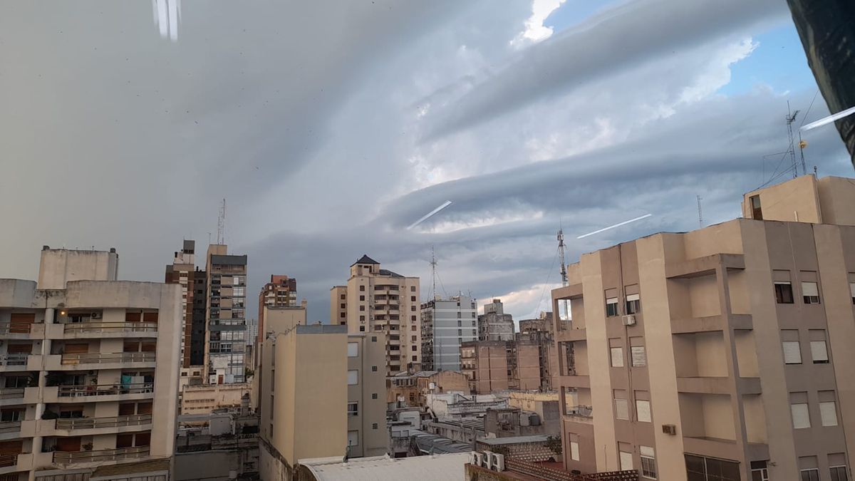 Fotos: Estela Zogbe