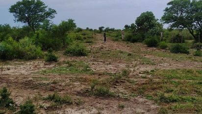 Reserva Nacional de Ansenuza: fueron a constatar un desmonte y terminaron en el hospital tras golpes y amenazas de muerte